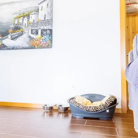 Сasa de vacaciones Boavista Country No 87