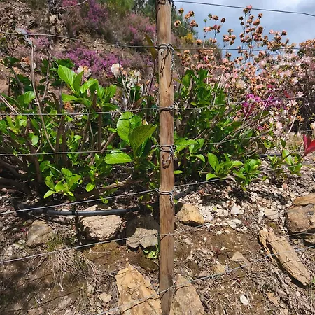 Boavista Country No 87