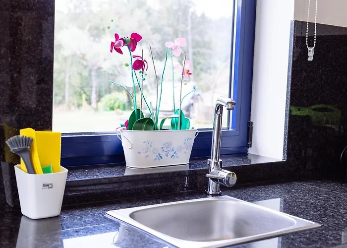 Boavista Country No 87 カベセイラス・デ・バスト