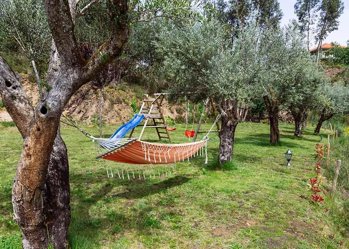 Boavista Country No 87 カベセイラス・デ・バスト